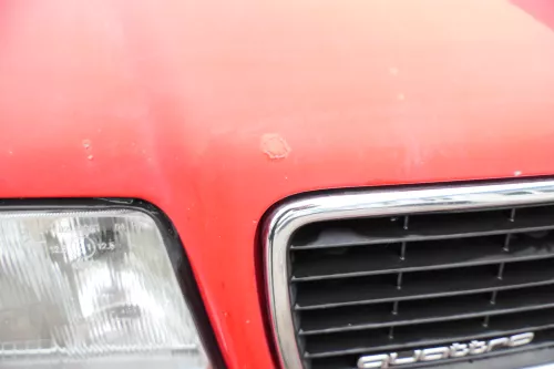 Audi 80 Motorhaube Frontklappe Haube rot LY3H - OHNE Grill (182802)