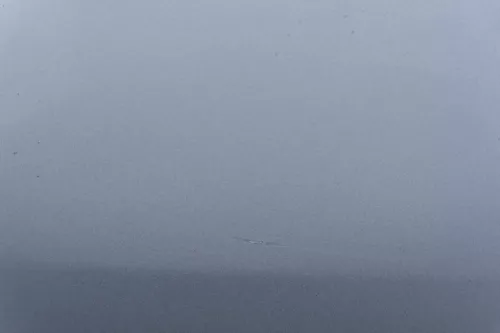 Passat 3C Motorhaube Klappe vorne vorn Haube silber grau LA7W reflexsilber (183091)