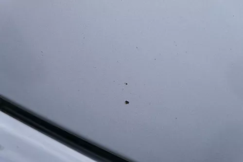 Passat 3C Motorhaube Klappe vorne vorn Haube silber grau LA7W reflexsilber (183091)