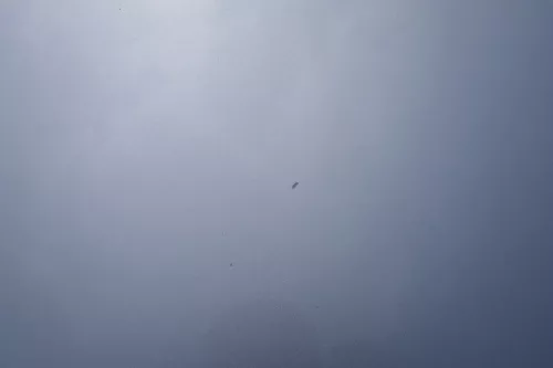 VW Golf 6 5M 521 Plus Motorhaube Haube Klappe vorne silber LA7W (183427)