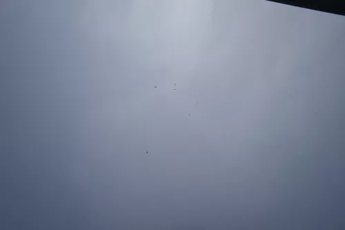 VW Golf 6 5M 521 Plus Motorhaube Haube Klappe vorne silber LA7W (183427)