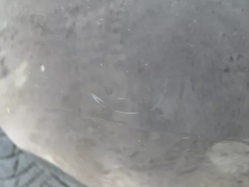 Fabia 5J Schrägheck Limousine Stoßstange hinten Heckstoßstange schwarz LF9R (183594)