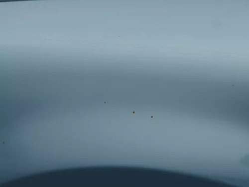 VW Passat 3B Kotflügel vorne links blau grün türkis ( evtl. LB7T oder LB6N ???) (183617)