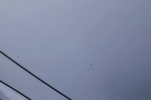 Skoda Fabia 6Y Motorhaube Klappe vorne silber LF7T vorn     (OHNEgrill!) (183657)