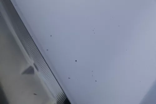 Skoda Fabia 6Y Motorhaube Klappe vorne silber LF7T vorn     (OHNEgrill!) (183657)