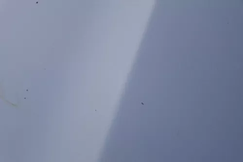 Skoda Fabia 6Y Motorhaube Klappe vorne silber LF7T vorn     (OHNEgrill!) (183657)