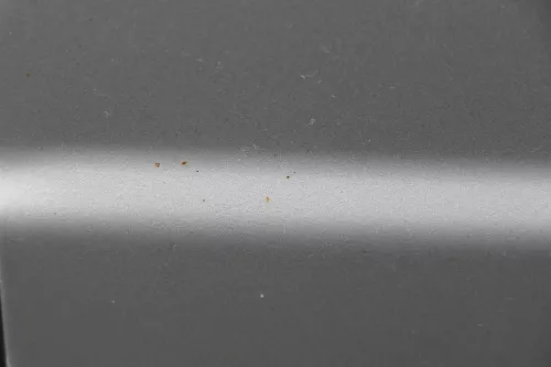 Skoda Fabia 6Y Kombi Limousine Tür vorne rechts Beifahrertür grau silber LF7T (183659)