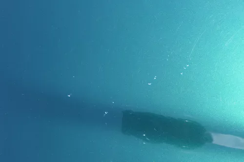 Audi A4 B5 Motorhaube Haube Klappe vorne grün LZ6L bis ca. Bj. 1999 + Grill (183759)