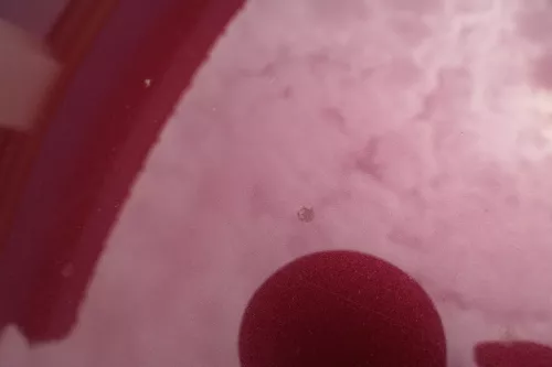 VW Polo 9N3 Cross Motorhaube KLappe vorne rot LC3R (183823)