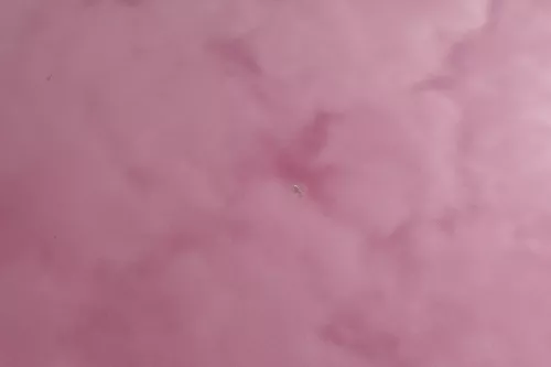 VW Polo 9N3 Cross Motorhaube KLappe vorne rot LC3R (183823)