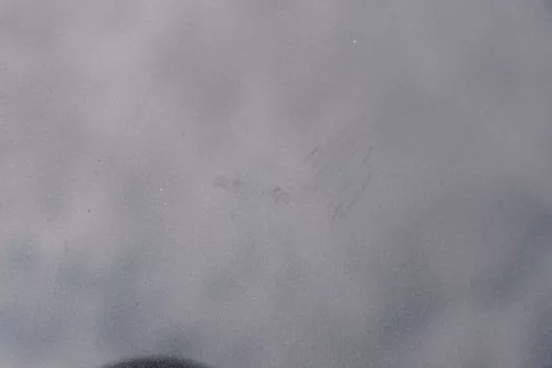 Audi A3 8L Motorhaube Frontklappe Haube schwarz LZ9U auch für Facelift (183955)