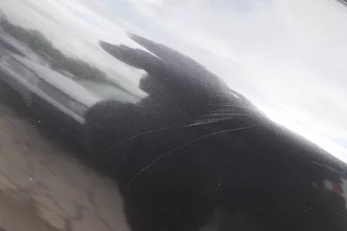 A3 8L bis Bj.ca1999 Heckklappe Kofferraumklappe Klappe hinten schwarz LZ9U Schei (183959)