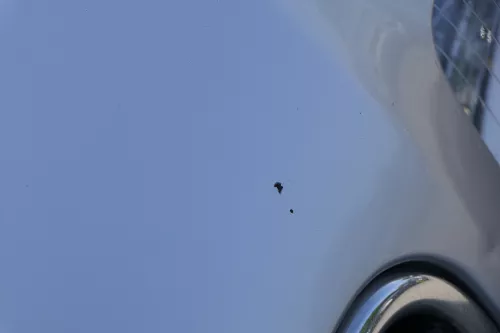 Audi A4 B6 8E Motorhaube Haube Klappe silber LY7W (184048)