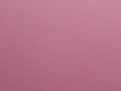 Audi A6 4B Motorhaube Klappe vorn (bis ca. Ende 2001) rot LZ3L mit Grill (184084)