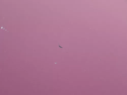 Audi A6 4B Motorhaube Klappe vorn (bis ca. Ende 2001) rot LZ3L mit Grill (184084)