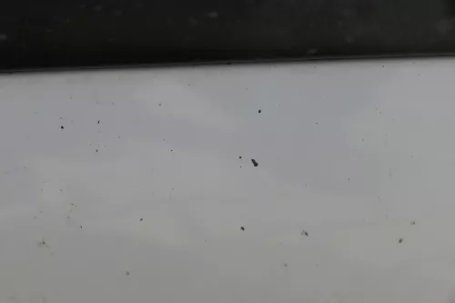 VW Golf 4 1J Stoßstange vorne Stoßfänger vorn weiß LB9A (184147)