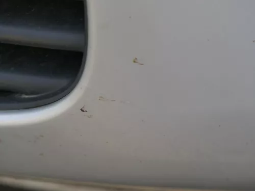 Skoda Octavia 1U Stoßstange vorne Frontstoßstange grau silber LF7T abBj.2001 (184301)