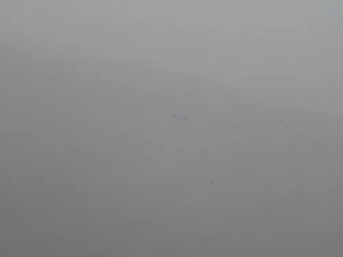 Skoda Octavia 1U5 Combi Kombi Variant Tür hinten rechts silber grau LF7T (184304)