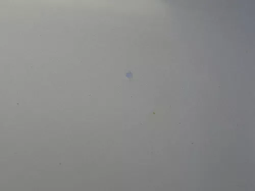 Skoda Octavia 1U5 Combi Kombi Variant Tür hinten rechts silber grau LF7T (184304)