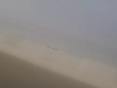 Skoda Octavia 1U5 Combi Kombi Variant Tür hinten rechts silber grau LF7T (184304)