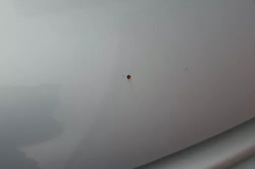 VW Golf 5 V 1K Motorhaube Haube Klappe vorne silber grau LA7W (184418)