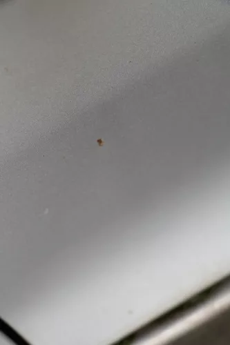 Golf 5 V 1K Tür Türblatt vorne links Fahrertür 4/5-Türer silber LA7W + Rahmen (184421)