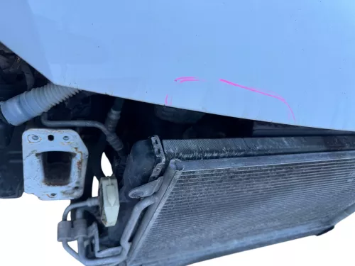 VW Polo 6R 6C Motorhaube Klappe vorn vorne weiß LB9A  - DELLE Knick Bilder! (184493)