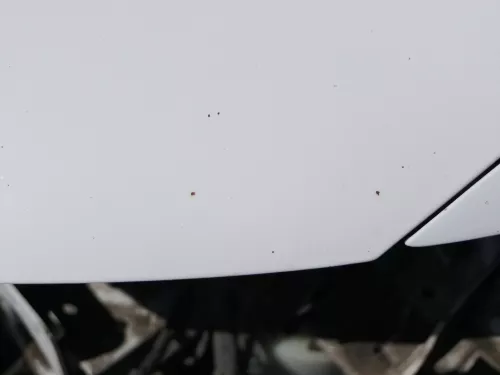 VW Polo 6R 6C Motorhaube Klappe vorn vorne weiß LB9A  - DELLE Knick Bilder! (184493)