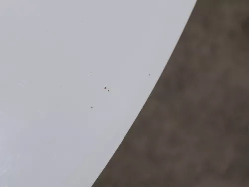 VW Polo 6R 6C Motorhaube Klappe vorn vorne weiß LB9A  - DELLE Knick Bilder! (184493)