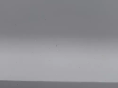 Polo 6R 6C Tür vorne rechts Beifahrertür 2/3-Türer weiß LB9A -ohne Anbauteile (184494)