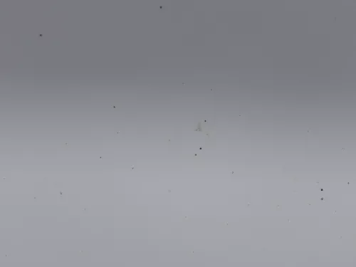 Polo 6R 6C Tür vorne rechts Beifahrertür 2/3-Türer weiß LB9A -ohne Anbauteile (184494)