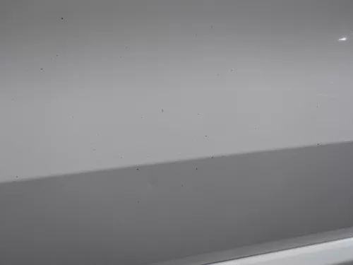 Polo 6R 6C Tür vorne links Fahrertür 2/3-Türer weiß LB9A -ohne Anbauteile (184497)