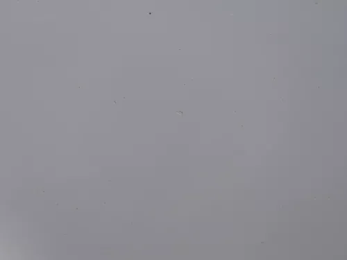 Polo 6R 6C Tür vorne links Fahrertür 2/3-Türer weiß LB9A -ohne Anbauteile (184497)