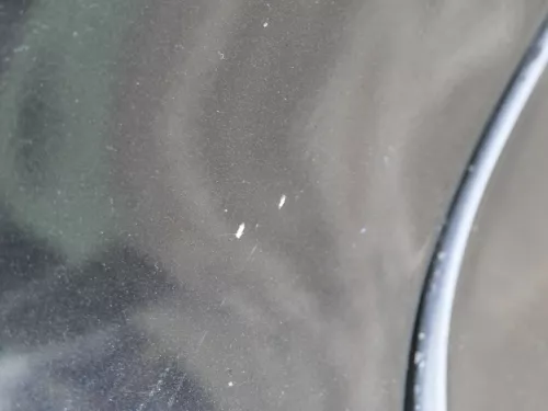 VW Golf 4 1J Kotflügel vorne rechts schwarz LC9Z (184565)