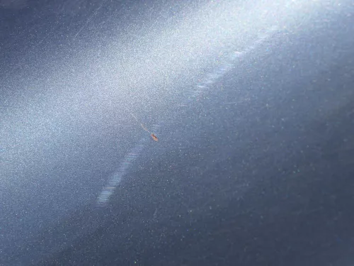 VW Bora Kotflügel vorne rechts original - grau LC7V 1J5821022 (184588)