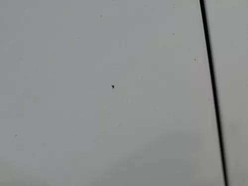 Seat Arosa Kotflügel links ab ca. Bj. 2000 Facelift grau silber LS7N (184684)