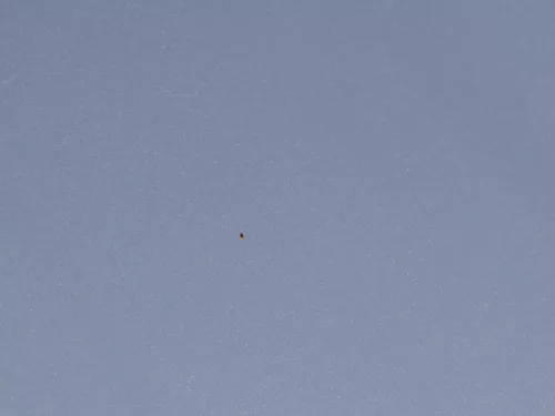 Seat Arosa 6H Facelift Motorhaube Haube Klappe vorne grau silber LS7N (184693)