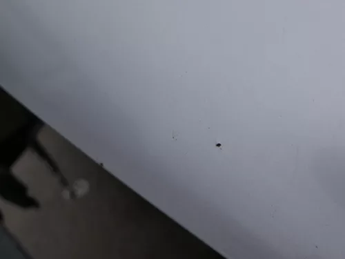 VW Golf 4 Motorhaube Haube Klappe vorne silber grau LA7W grau reflexsilber (184695)