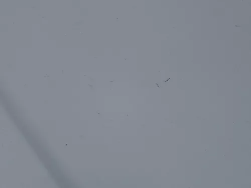 VW Golf 4 Motorhaube Haube Klappe vorne silber grau LA7W grau reflexsilber (184695)