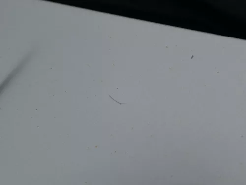 VW Golf 4 Motorhaube Haube Klappe vorne silber grau LA7W grau reflexsilber (184695)