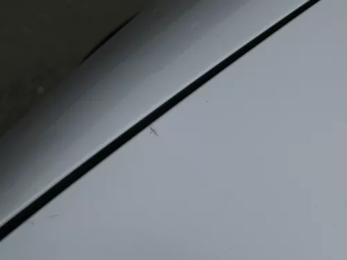 VW Golf 4 Motorhaube Haube Klappe vorne silber grau LA7W grau reflexsilber (184695)