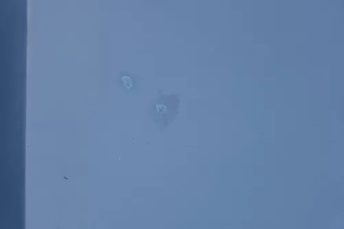 VW Sharan 7M Motorhaube Klappe Haube vorn vorne blau LC5W ab ca.Bj2000passend (184754)