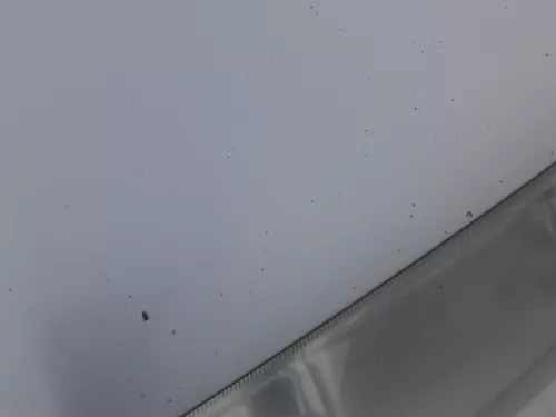 Skoda Fabia 6Y Motorhaube Klappe vorne silber LF7T vorn     (OHNEgrill!) (184846)