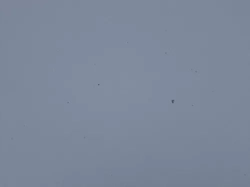 Skoda Fabia 6Y Motorhaube Klappe vorne silber LF7T vorn     (OHNEgrill!) (184846)