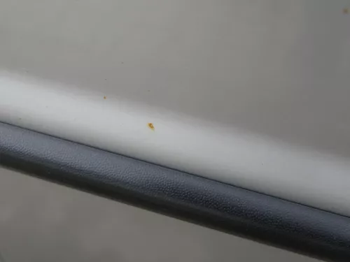 Skoda Fabia 6Y Kombi Limousine Tür vorne rechts Beifahrertür silber grau LF7T (184851)