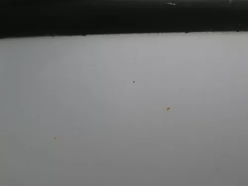 Skoda Fabia 6Y Limousine Schrägheck Tür hinten rechts grau silber LF7T diamantsi (184852)