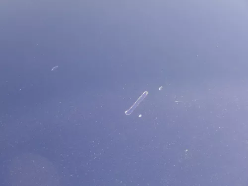 VW Polo 9N Motorhaube Klappe Haube vorne blau LB5N bis ca. Bj. 2004 (184909)