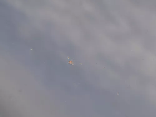 Ford Galaxy Motorhaube Klappe Haube vorne mystik-schwarz Facelift WGR (184926)