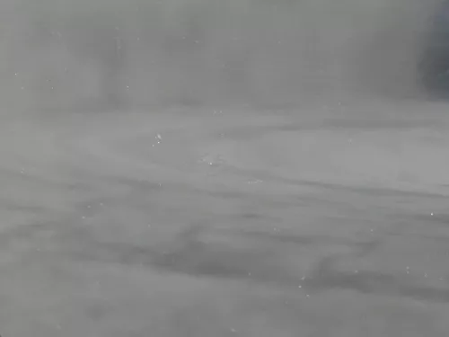 VW Sharan 7M Ford Galaxy WGR Tür hinten rechts Facelift schwarz mystik (184932)