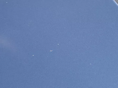 VW Golf 6 5M 521 Plus Motorhaube Haube Klappe vorne blau LC5F (185022)